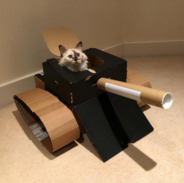 如何用最简单的材料给猫咪做玩具，如何用最简单的材料给猫咪做玩具熊（网友给家里的猫打造纸箱坦克）
