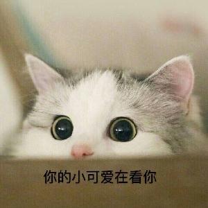 路人粉和白嫖的区别，路人粉和白嫖有什么区别（不配用在你的爱豆身上）