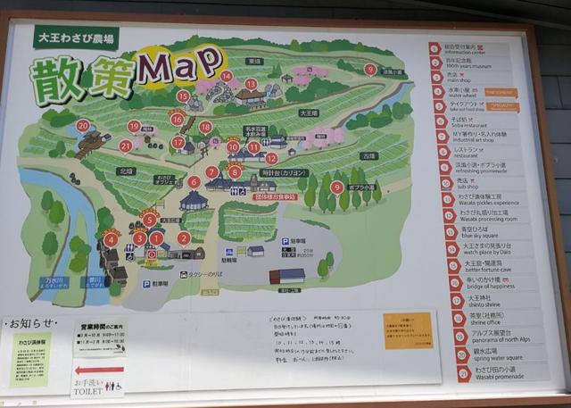 芥末为什么叫瓦萨比，瓦沙米是芥末吗（终于去了安昙野大王山葵农场）