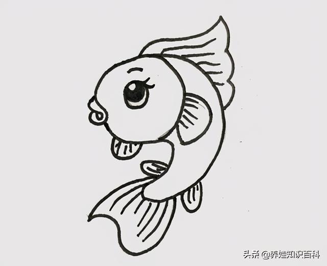 一笔一划教宝宝画行简笔画 如何画小鱼，一笔一划教宝宝画行简笔画（喜欢小鱼的小朋友来学学）
