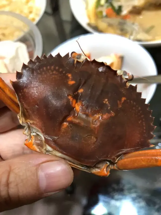 黄油蟹是什么蟹，水蟹、奄仔蟹、肉蟹、膏蟹、黄油蟹你还傻傻分不清吗
