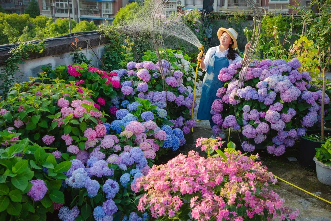 描写学校花园的作文（海妈花园访问）