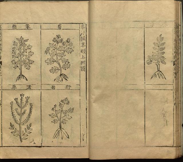 本草纲目全书带图，李时珍本草纲目全书（李时珍著《本草纲目》附图卷）