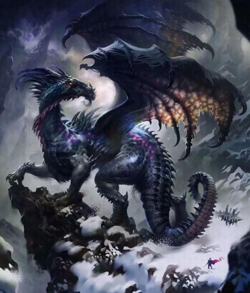 海贼法典（四本剧情不输原著的同人小说）