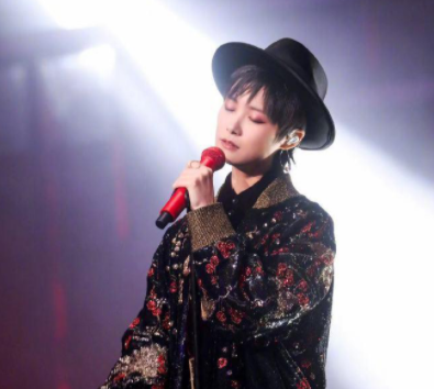 2011超级女声冠军，超级女声2016冠军（超女快男10位冠军现状）