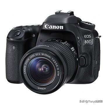 入门单反相机选哪款好，购机推荐：新手挑选单反相机