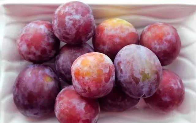 智利西梅是不是青色的,智利西梅有几个品种(怎样才能挑选到好的西梅) 智利西梅是不是青色的,智利西梅有几个品种(怎样才能挑选到好的西梅)