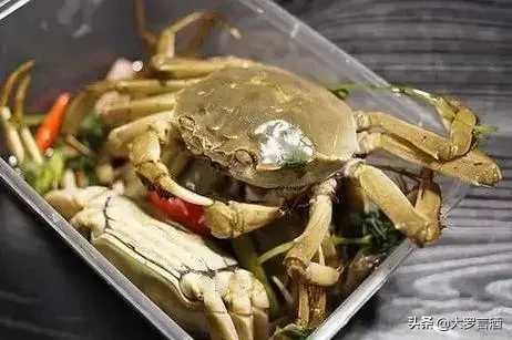 丹顶鹤的家乡在哪个省，丹顶鹤是哪个省的（丹顶鹤的故乡：辽宁盘锦）