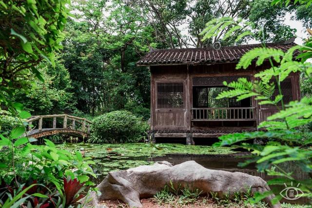 深圳十大免费景点，深圳十大必玩免费景点排名