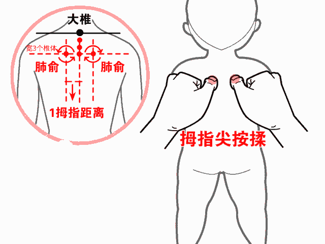 足太阳膀胱经循行路线，足阳明膀胱经循行图（小儿常见疾病的小儿推拿方法）