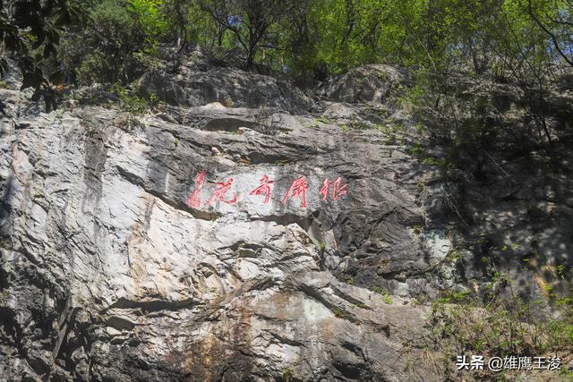 合肥旅游景点大全，合肥的旅游景点有哪些最出名（11月合肥最值得打卡的6个宝藏景区）