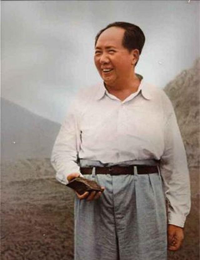 英雄所见略同是什么意思，英雄所见略同的解释（为何让邓小平当军师）