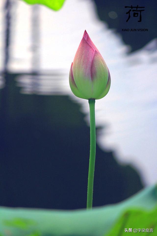 何必作贱自己的说说，说自己是贱人的说说（挤不进的世界不要硬挤）