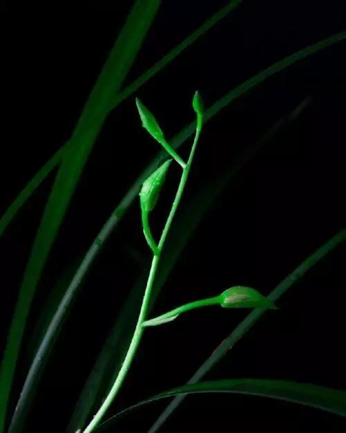 喝红酒适合发朋友圈的句子，喝红酒适合发朋友圈的句子简短（品红酒感悟人生的说说）