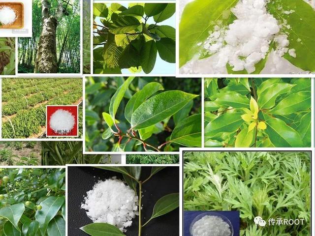 怎样用墨块调制成墨汁，墨汁如何调制而成（墨——书法和国画的亲娘）