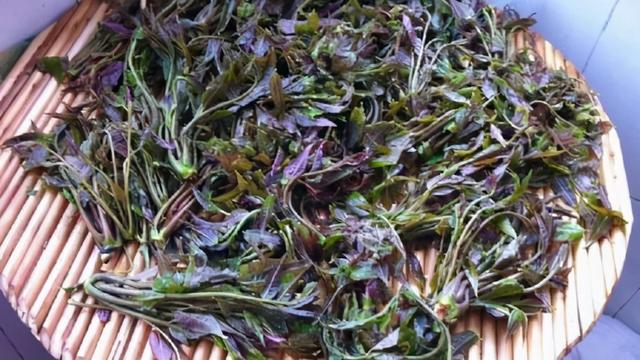 如何腌制香椿咸菜，如何腌制香椿咸菜视频（放1年照样好吃）