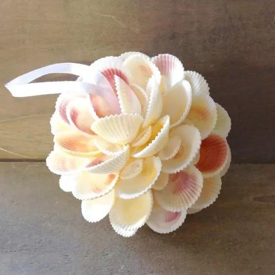 海边漂亮贝壳,海边有各种各样的贝壳(做出的手工花非常好看图片)