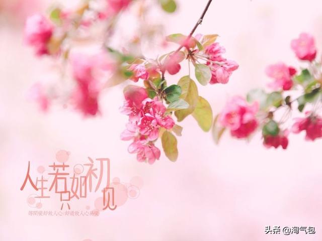 12个月都有什么情人节，二月没过情人节的今天补上