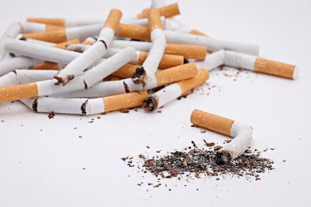 烟叶烟丝货到付款，土烟发酵方法（你知道这4种香烟对身体的危害吗）