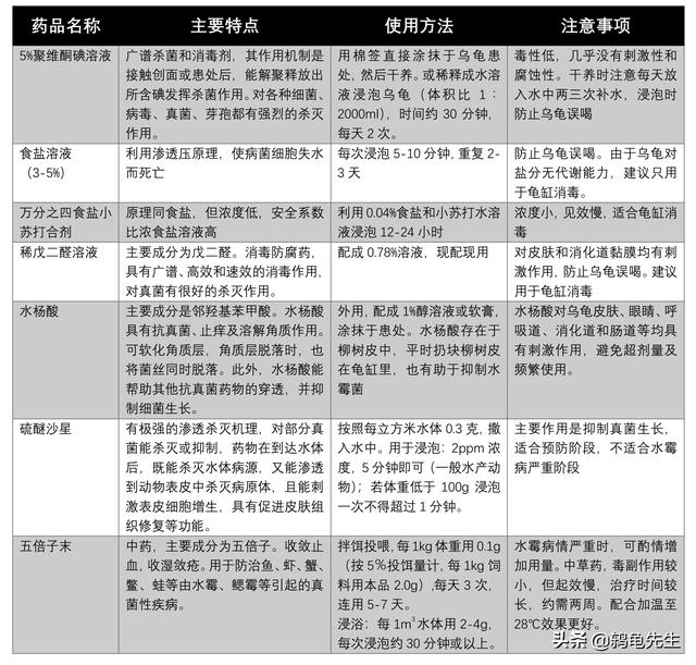 乌龟水霉病图片，乌龟水霉病怎么治（鸫龟先生详解乌龟水霉病的预防与治疗方法）