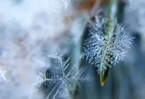 在古代可以用什么词代替雪，在古代对雪的称谓还有哪些（看看古人对雪的24种雅称）