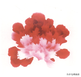 牡丹花头的画法对照表，写意牡丹花头的各种画法