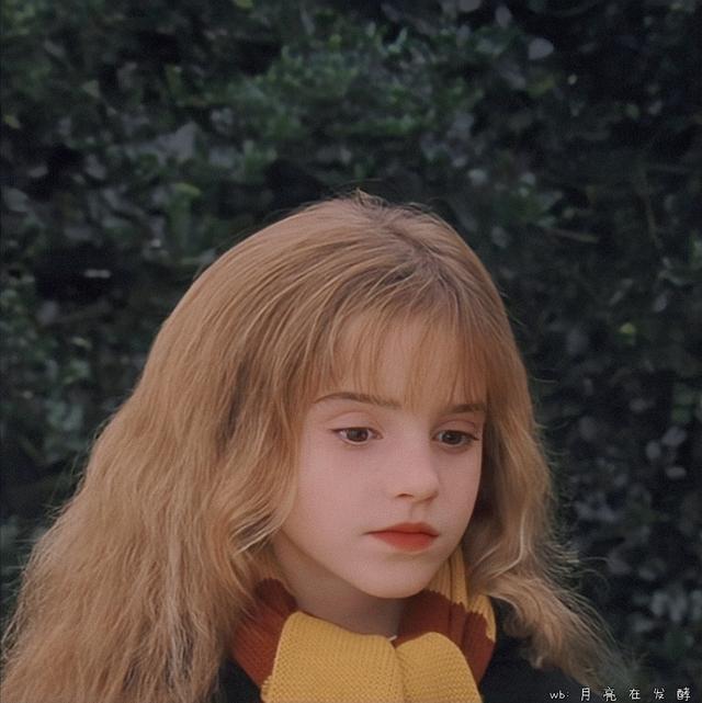 赫敏·格兰杰小天使［哈利.波特］，哈利波特女主角赫敏格兰杰（小赫敏感觉毛茸茸的图片）