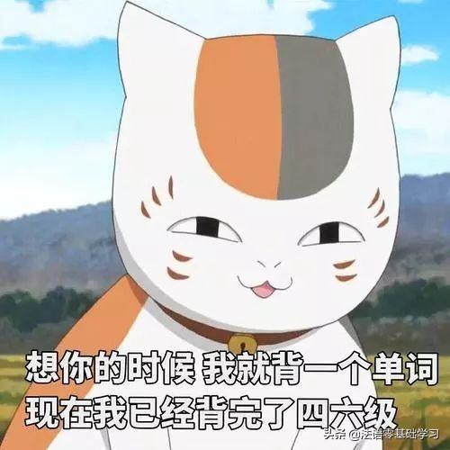 ng/ml与nmol/l怎么换算，nmol/l换算成ng/ml（法语学习：法语情话汇总）