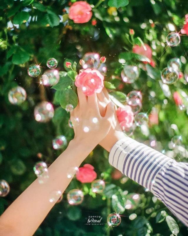 摄影如何打光，摄影怎么打光（摄影这么运用光线，美丽翻倍）