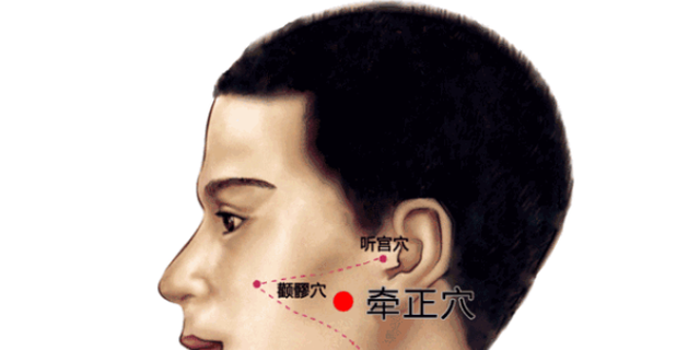 鱼腰的准确位置和作用，个个都是穴位学中的高手