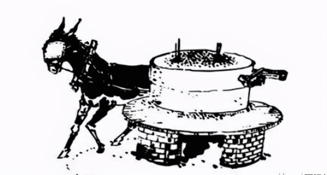 黑雀子怎么形成的/怎样去除黑雀，悄子好方法（母驴）