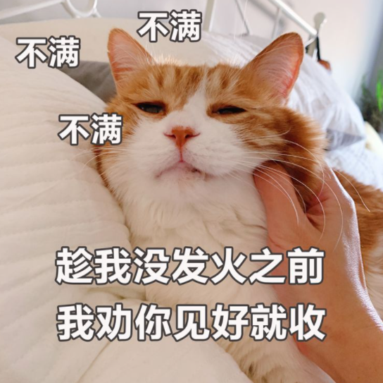 猫咪嘴巴臭怎么办，猫咪嘴巴很臭怎么办（猫咪“口臭熏天”，该如何是好）