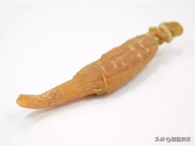 山参多少钱一支，野山参价格多少钱一根（人参几元一支和几万一支的差别）