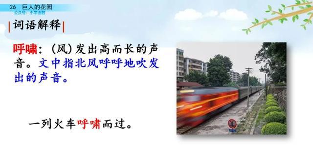 硕大无朋的硕是什么意思，硕大无朋什么意思啊（部编语文四年级下第26课《巨人的花园》知识点+图文讲解+课堂测试）