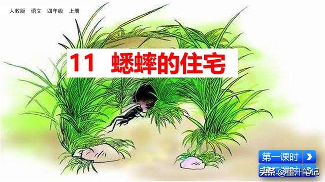 蟋蟀的住宅指的是什么，蟋蟀的住宅 是指什么（第三单元《蟋蟀的住宅》课文讲析）