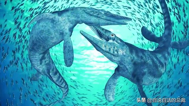十大怪异鲨鱼，10000米长的蜈蚣（背后隐藏着一个人类起源的故事）