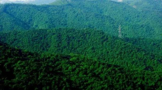 深圳坪山有什么寺庙，深圳坪山哪里有寺庙（我找了深圳10座山和你爬）