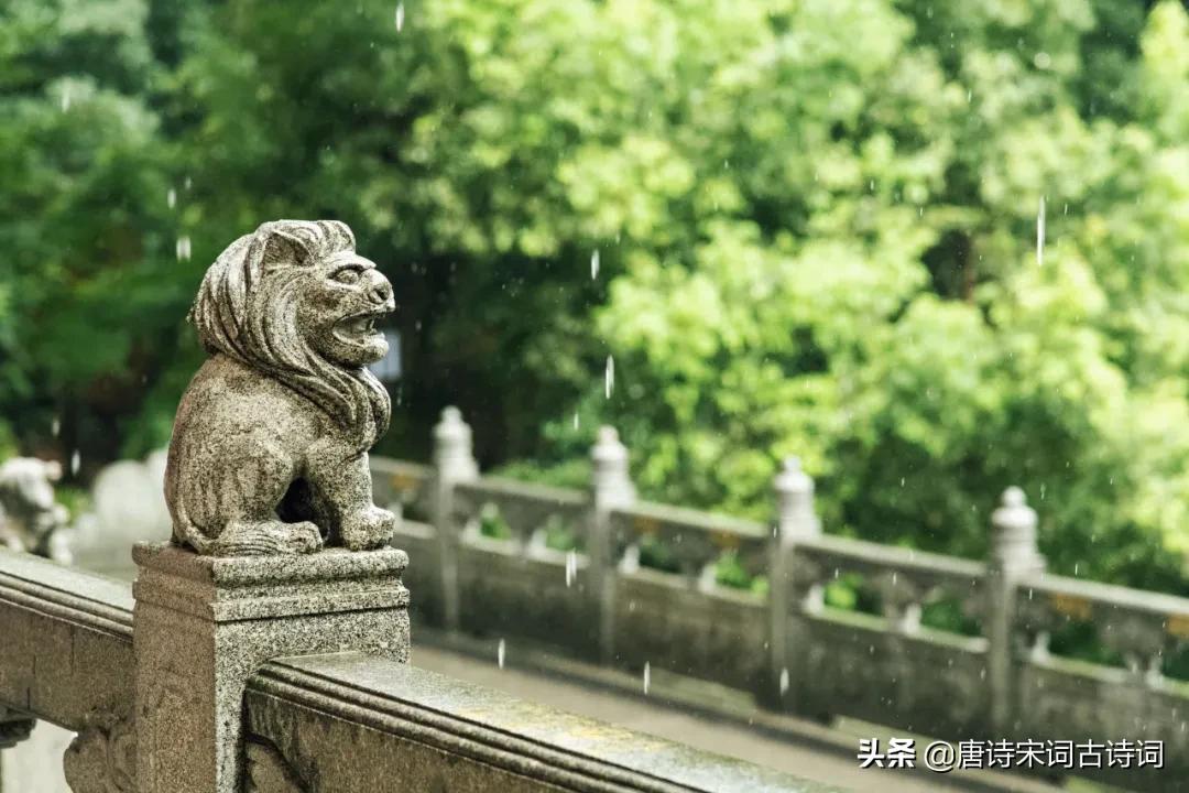 空山新雨后全诗赏析(天气晚来秋全文翻译)