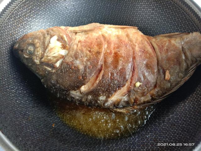 框镜鱼是什么鱼，鱼皮不破鱼肉不腥