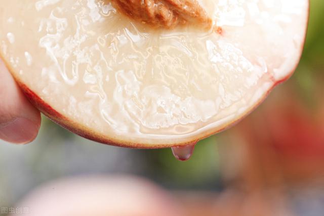牛奶桃子能一起吃吗，桃子和牛奶可以一起吃吗（做黄桃罐头为什么要用盐水泡-壹健康经验）