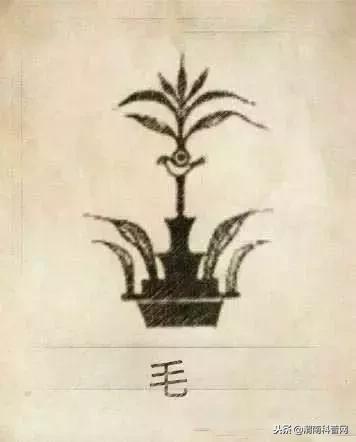 一个草字头一个吕，草字头加吕什么字（中国100大姓氏起源、图腾）