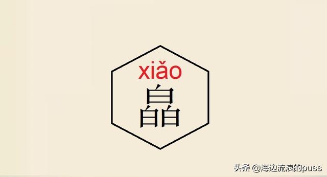 聂怎么读音，这些异体字和生僻字