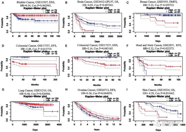 excel左右拉条不见了，excel的左右滚动条不见了（单基因泛癌免疫分析）