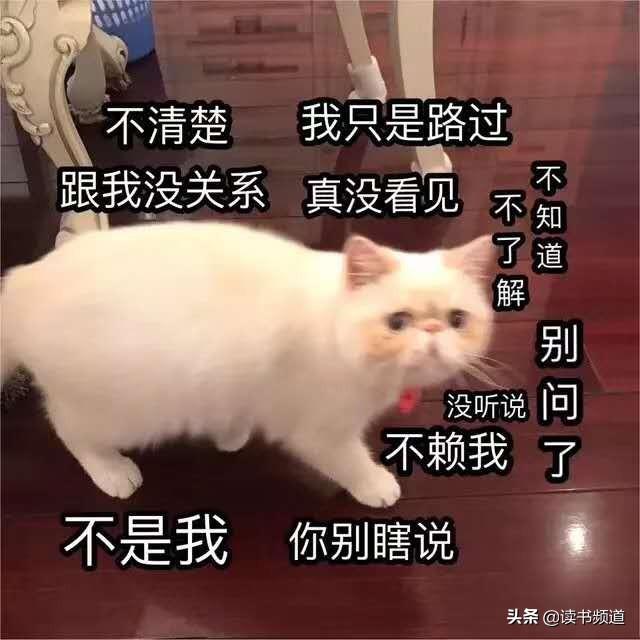 一统飞鸿（怕死的真正含义是什么）