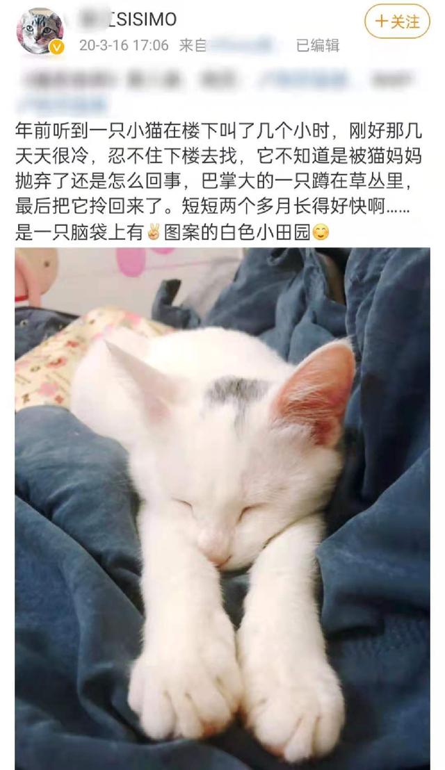 纯阳sisimo，剑网三唐门同人文（肚皮大得像怀胎十月）