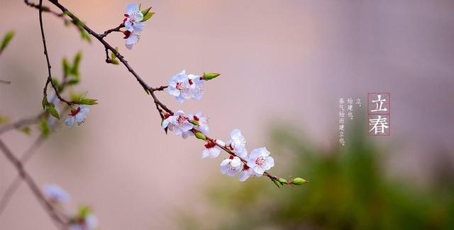什么的感觉真好作文400字，范文欣赏《春天的脚步》