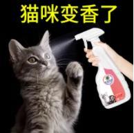 猫咪乱拉屎怎么办，猫乱拉屎怎么办（家中的猫咪乱拉臭臭怎么办）