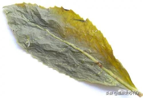 莲花峰茶不适宜哪些人喝,莲花峰茶有什么作用(了解福建全部茶叶看这一篇就够了) 莲花峰茶不适宜哪些人喝,莲花峰茶有什么作用(了解福建全部茶叶看这一篇就够了)