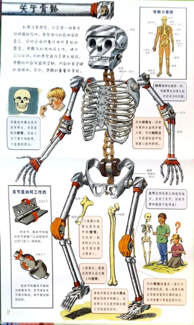 如何画一部简单的电话机，画电话的简单画法图（这套儿童科普读物把骨头画成钢铁侠）