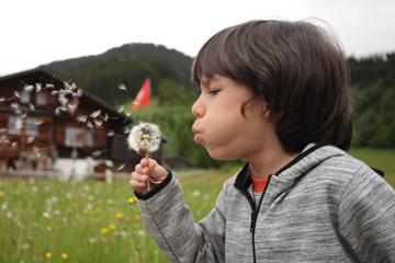 泽字组词，泽字取名男孩寓意（泽字组词二年级上册）